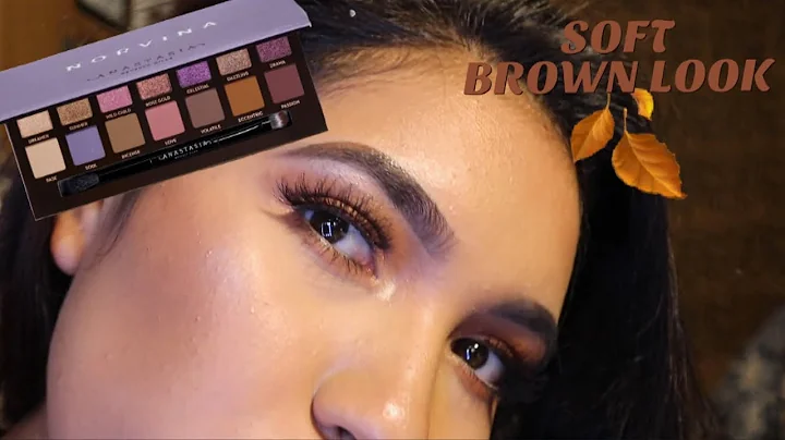 Soft brown makeup look using ABH Norvina pallete  ...