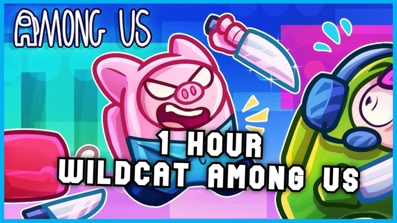 Wildcat Among Us Compilation #16 - 1 Hour - VanossGaming Compilation No Sponsors and End Cards