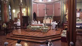 Sunday Mass from St. Mary Church, New Haven, CT