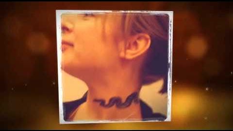 PyCon 2011 & ActiveState