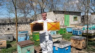 Как расширять гнезда весной в пчелосемьях/Чем расширять сушь или вощиной.