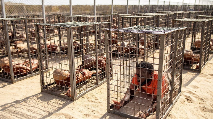 This Is How One Small Nation Eliminated All Its Gangs