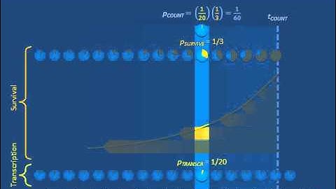 Poissonian copy numbers b: Stochastic transcription and stochastic degradation