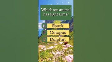 My new quizzes video.#quiz #quiztime #quizgame #trivia #quizquiz #1million #1000subscriber #foryou