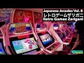 Japanese Arcades Vol. 8 - Retro Games Zarigani レトロゲームザリガ二 Osaka - Obscure Japan