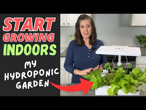 Get An Inside Look At My IDOO Hydroponic Indoor Garden System Full Detailed Review