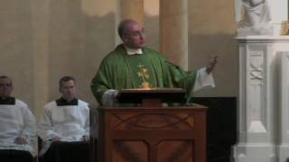 Fr. Saunders Homily | June 25, 2017
