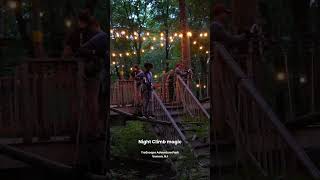 Night Climb @ TreEscape, NJ