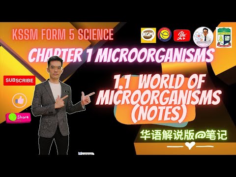 (华语解说) FORM 5 SCIENCE | CHAPTER 1: MICROORGANISMS | 1.1: WORLD OF MICROORGANISMS P #1: NOTES