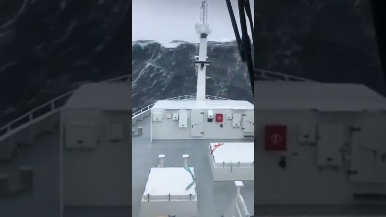 normal day at sea...                    