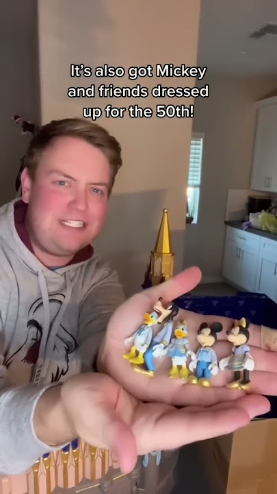 Disney World 50th Anniversary Castle Set!