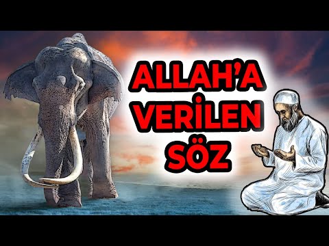 ALLAH'A VERİLEN SÖZ - ANİMASYONLU DİNİ HİKAYE