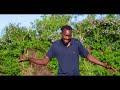 KWENYE SHOW Official Video By MKJ MORRIZO KWENYE SHOW Official Video By MKJ MORRIZO