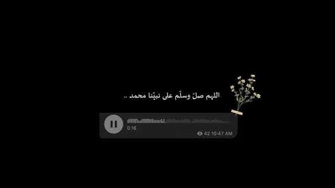 قرآن كريم|إن الله وملائكته يصلون على النبي 💙 حالات واتس اب انستا|حالات قرآن بصوت جميل جداً ❤️❤️💙💙