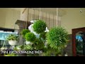 Mini hanging balls | easy garden hanging ideas | easy garden techniques