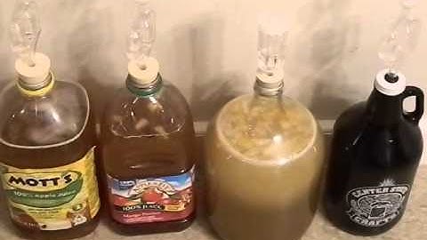 Tonights homebrew - Mead, Cyser, and some hard cider