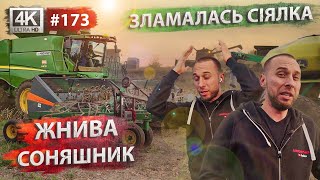 Жнива 2022🔥Збираємо соняшник🌻Посів пшениці по нулю | Сівалка John Deere