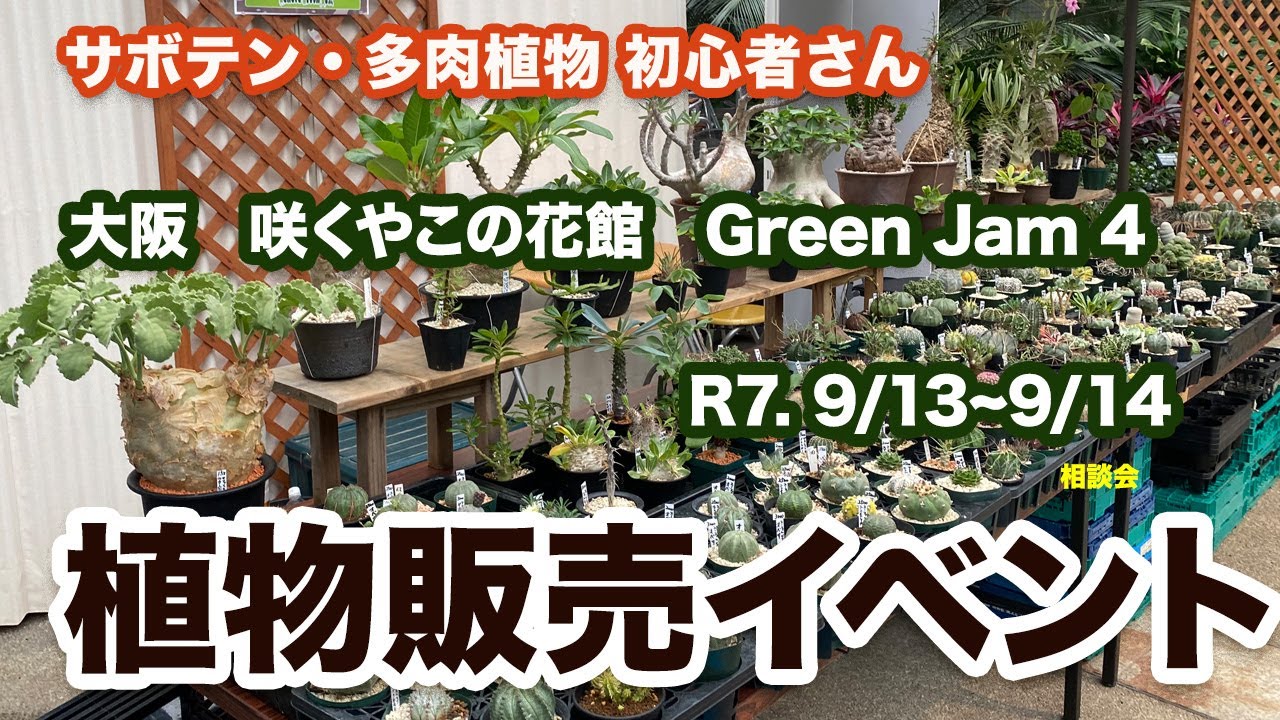 Cacti and Succulents] Sakuya Green Jam 4 Osaka Sakuya Konohanakan