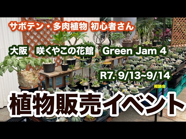 Cacti and Succulents] Sakuya Green Jam 4 Osaka Sakuya Konohanakan