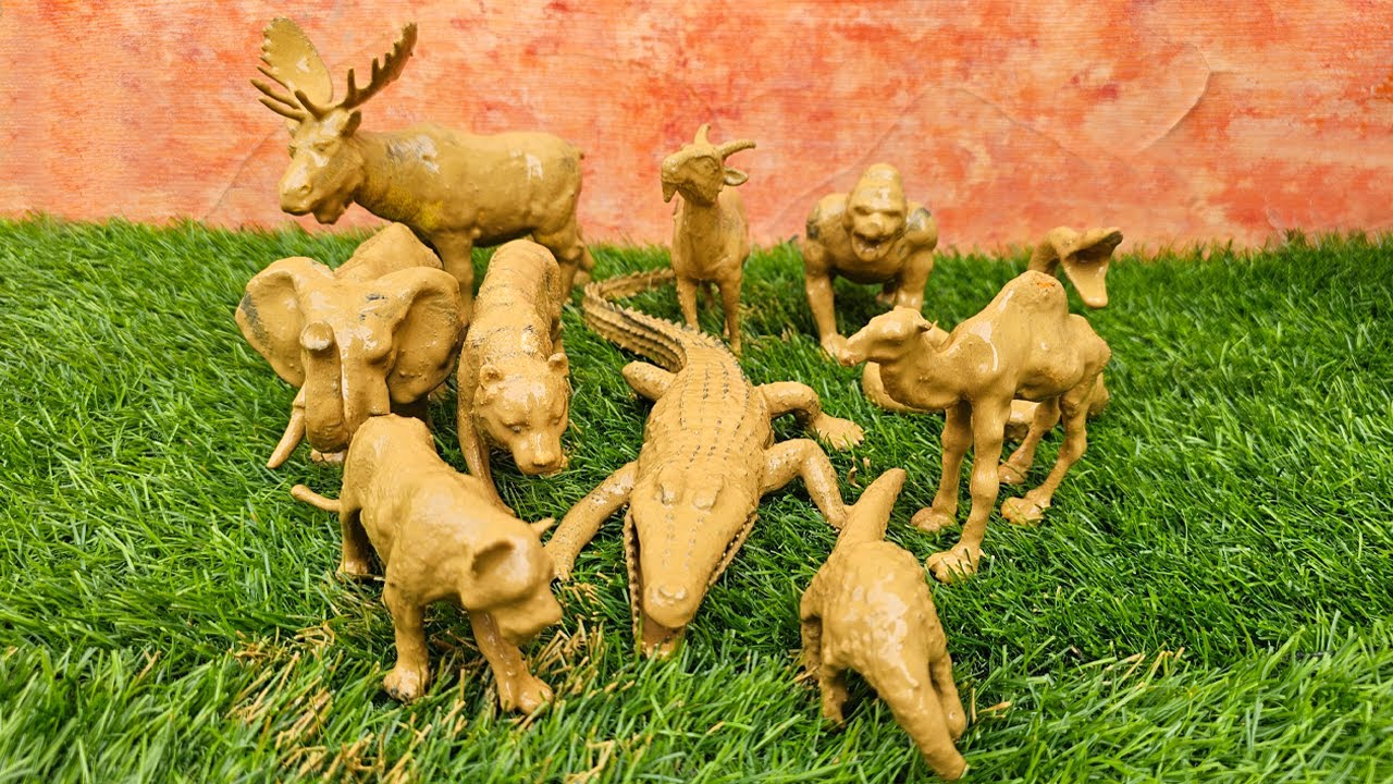 Animal Explorers: A Thrilling Adventure in the Heart of the Wilderness