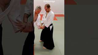 Aikido in slow motion: Counter techniques, KAESHIWAZA, on SHIHONAGE, by Stefan Stenudd