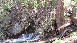 Information September 2013 Floods - Jeffco Open Space News