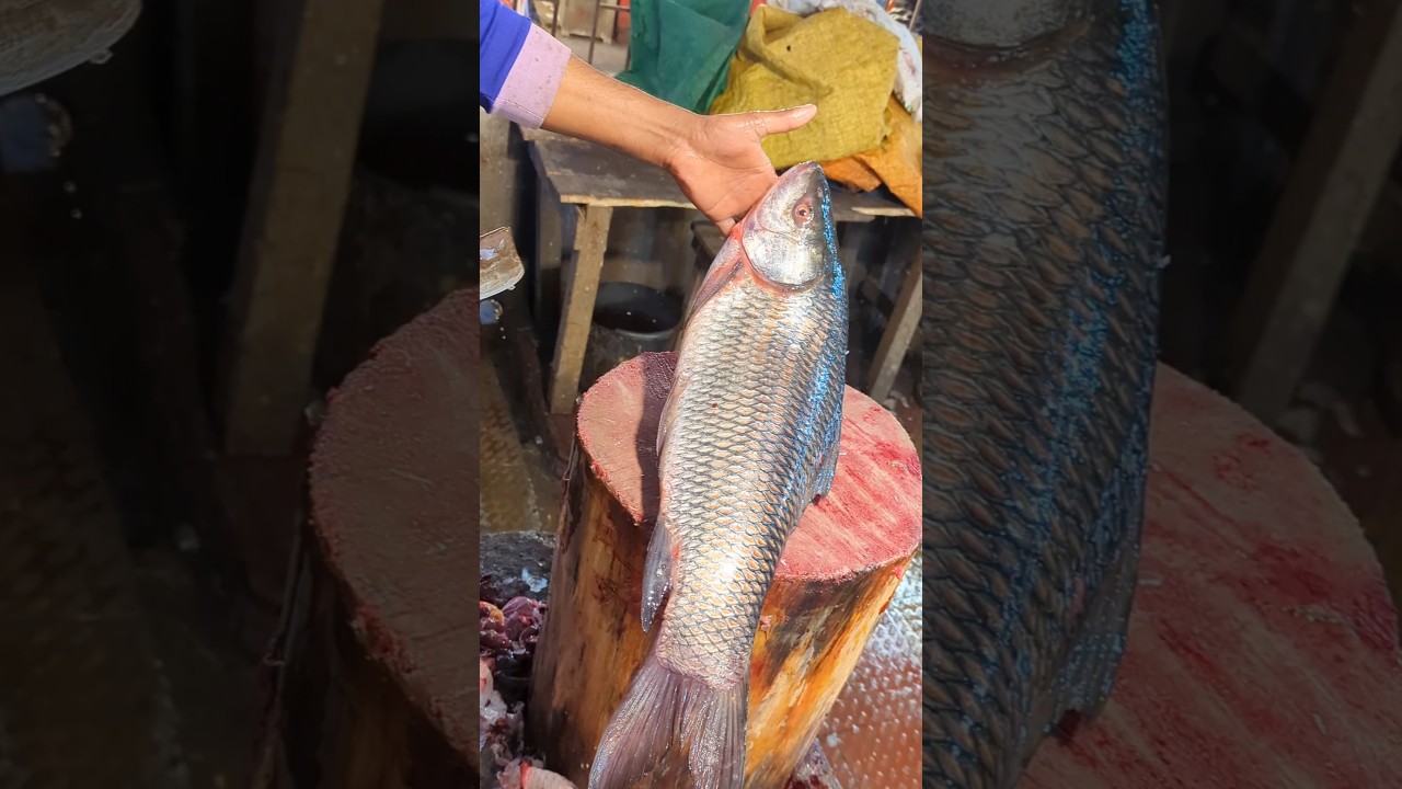Потрясающие навыки разделки крупной рыбы мригал на рыбном рынке Бангладеш.