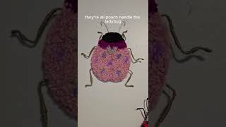 Starting a bug wall