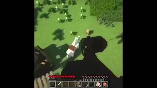 Guy 360 No scope Killing own horse on off a roof  (Minecraft)