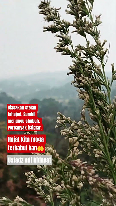 moga bermanfaat🤲. #doamustajab #cermahislami #ceramahsingkat #subscribe