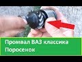 Что будет если долго не менять промвал ВАЗ, поросенок. Деревенские будни. ВАЗ в деревне.