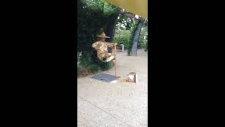 Brisbane Man Floating On Air