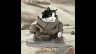 If Grogu was a Cat (Meowdrama) #mandalorian #grogu