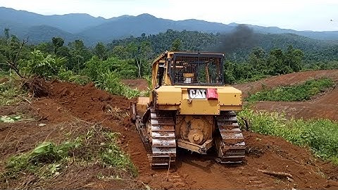 excellent work Making oil palm plantation trails CATERPILLAR BULLDOZER D6R XL #bulldozer