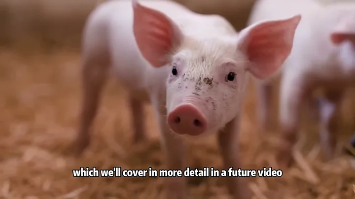 All 20 Wild Pig Species (& Their Piglets!)