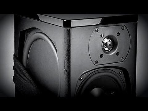 Definitive Technology Studio Monitor 350 Bookshelf Speakers