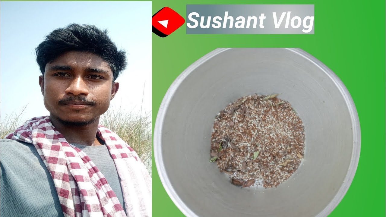 Demta Ant ‼️ Adiwasi Log Ka Traditional Khana😄🤟 - YouTube