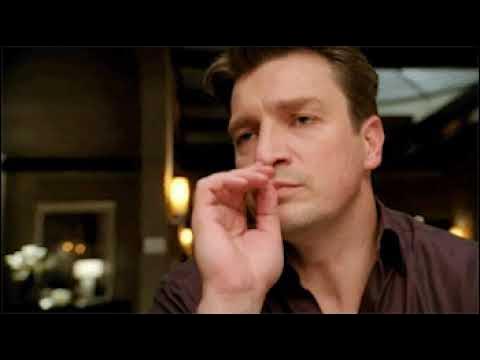 Nathan Fillion "Can't argue with that" meme gif - YouTube