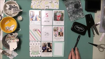 Project Life Process Week 26