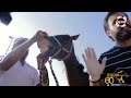 تحديد عمر الخيول تحديد عمر الخيول