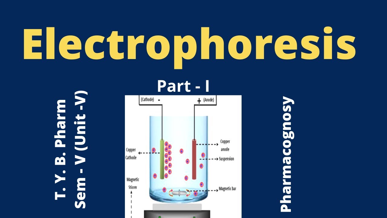 Electrophoresis , Principle of Electrophoresis simple notes , analysis (HINDI) YouTube