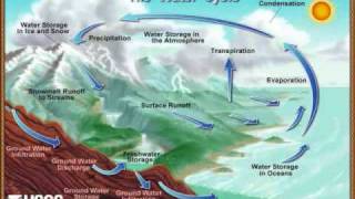 The COOL Water Cycle Song with lyrics