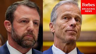 JUST IN: John Thune Makes The Case For Markwayne Mullin To Be New DHS Secretary