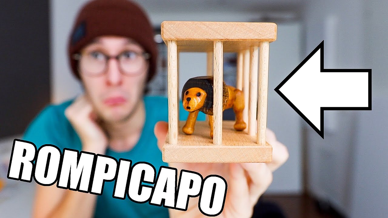 Il Rompicapo Del Leone In Gabbia