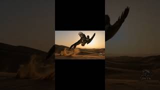 "Martial Eagle vs Jackal | When a Pup Becomes the Target"