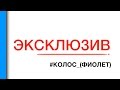 #ЭКСКЛЮЗИВ | КОЛОС_(ФИОЛЕТ) | MUZA-BAR | Полтава | 21.02.2016