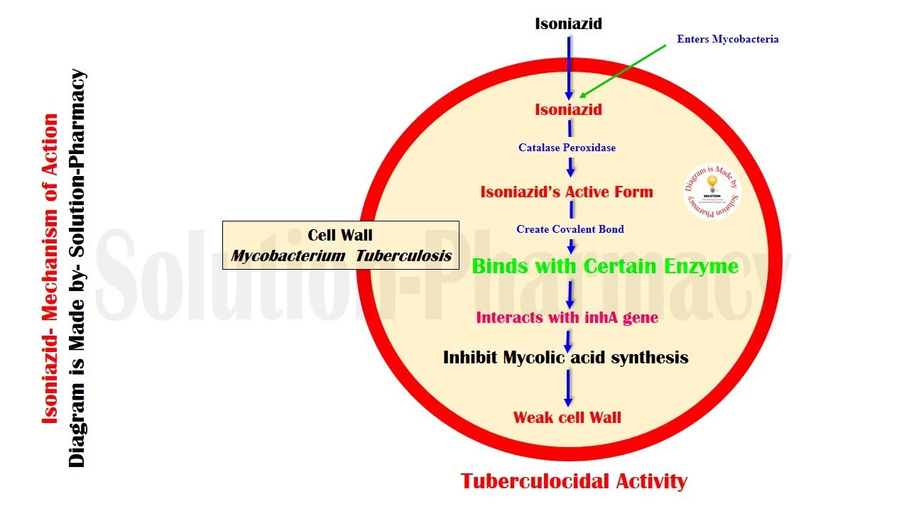 Isoniazid side effects