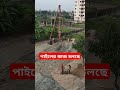 পাইলের কাজ চলছে