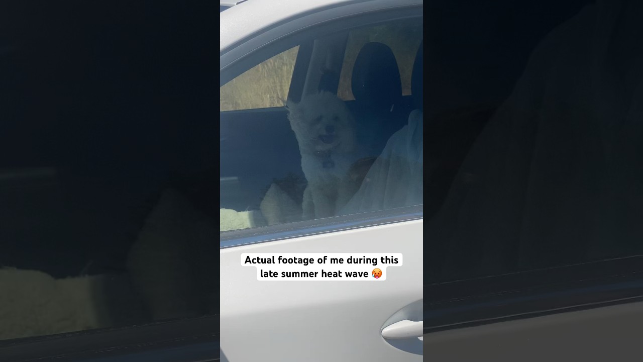 Anyone else ready for fall temps? No? Just me? Okay…😅 