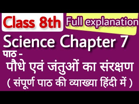 वीडियो: कुत्ते कागज उत्पादों को क्यों काटते हैं?